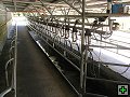 thn_NZ leden-unor 2006 096.jpg